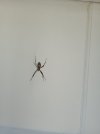 IMG_20240919_132747739.jpg