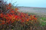 _DSC9189.JPG