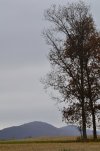 _DSC9219.JPG