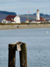 _DSC1540-1.jpg