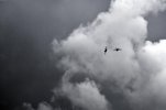 _DSC4708..jpg