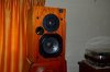 DSC_3594 (Large).jpg