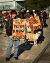 protest2.jpg