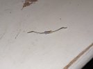 IMG-20241014-WA0004.jpg