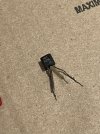 IMG_6731.jpeg