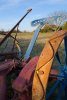DSC_0691.jpg