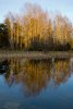 DSC_0709.jpg