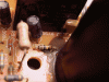 2007_0503Image0183.gif