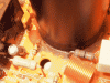 2007_0503Image0178.gif