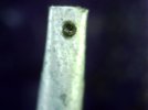 PICA0045.jpg