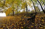 _DSC9242.JPG