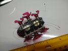 IMG_20241105_184022863.jpg