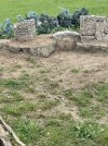 IMG_8030.jpeg