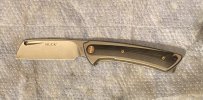 Buck 263 cleaver EDC knife.jpg