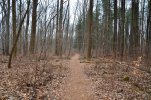 DSC_5145.JPG