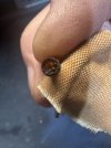 IMG_1688.jpeg
