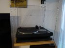 DSC03379.JPG