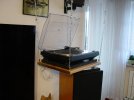 DSC03380.JPG
