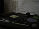 DSC03386.JPG