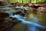DSC_5507.JPG