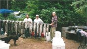 Nootka Cougar Creek.JPG