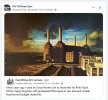 Pink Floyd Animals Photographer.jpg