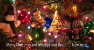Chrismas card.JPG