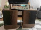 Bose 501 pic 2.jpg