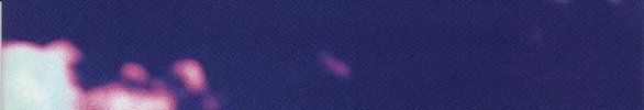 IMG_2333.jpeg