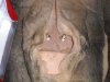 DSCF0047.jpg