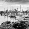 harbor.jpg