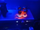 IMG_0613.jpeg