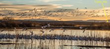 trinity site from our house on Bosque Del Apache NWR.jpg