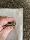 IMG_7359.jpeg