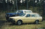 1981 Toyotas.jpg