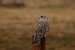 _DSC3801.jpg