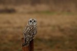 _DSC3823 1.jpg