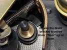 IMG_7875.jpeg