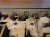 DSC01788.jpg
