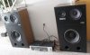 Bose Interaudio SA1000 No Grill Refoamed.jpg