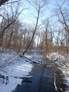 IMG_20240217_155106189.jpg