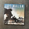 Joe Walsh - You Bought It - You Name It.jpg