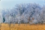 D71_2902-1.jpg
