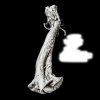 Mystery Fungus.jpg