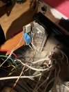 IMG_1559.jpeg