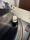 IMG_4235.jpeg