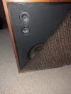 PXL_20240824_223058592.jpg