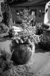 L1010742.JPG