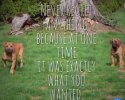 IMG_7841.jpeg