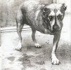 Alice in Chains - Alice in Chains (B&W cover).jpg